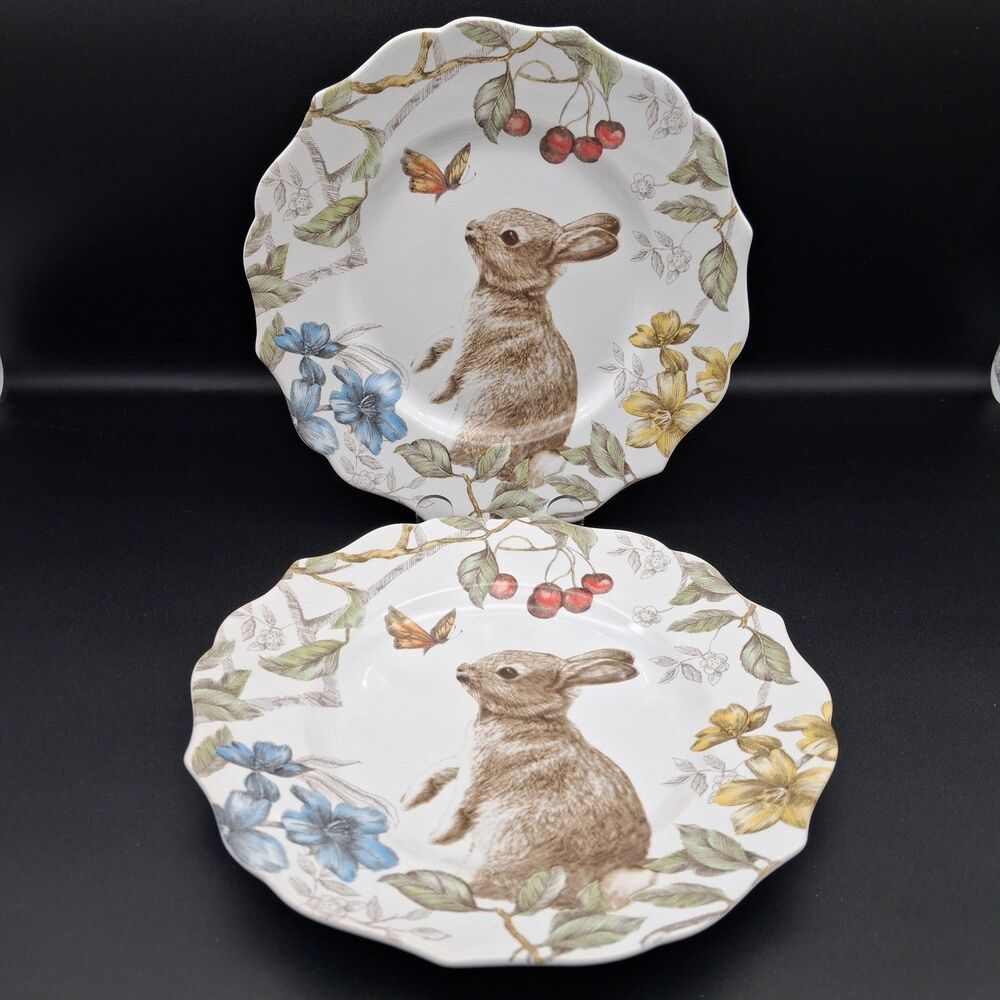 Pier 1 Sofie The Bunny Salad Plates 8.5" Easter Spring Rabbit Lot of 2
